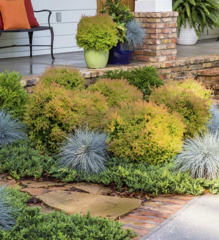 A front yard garden with various green shrubs, ornamental grasses, and potted plants, bordered by brick and stone pathways, leading up to a porch with a potted fern and a chair.