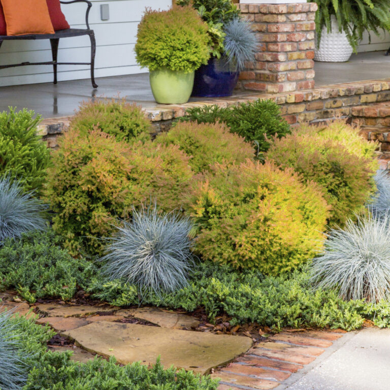 A front yard garden with various green shrubs, ornamental grasses, and potted plants, bordered by brick and stone pathways, leading up to a porch with a potted fern and a chair.