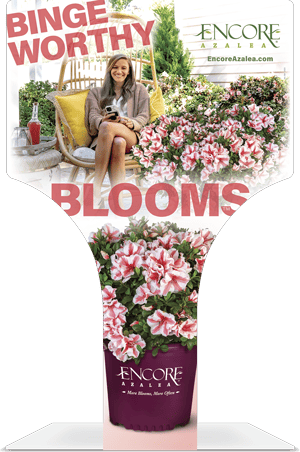 2024 retail a-frame sign shows Encore branding with title Bingeworthy Blooms