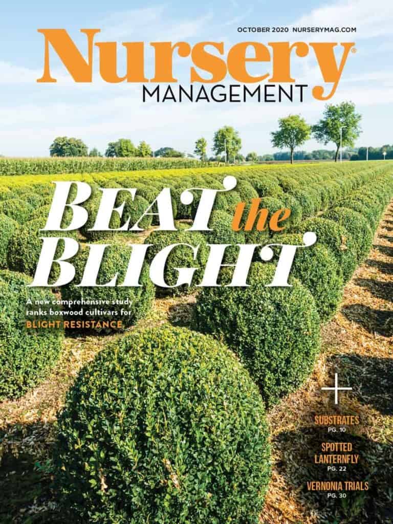 Nursery Management Magazine Cover showing blight-resistant boxwood