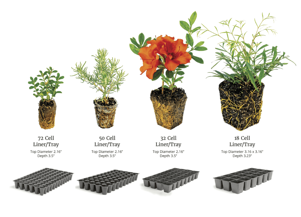 various plants giving examples of liner sizes