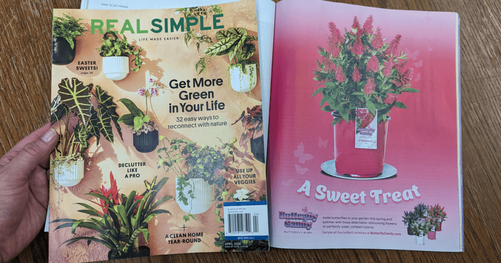 Butterfly Candy Ad with Copy that Says A Sweet Treat in Real Simple magazine
