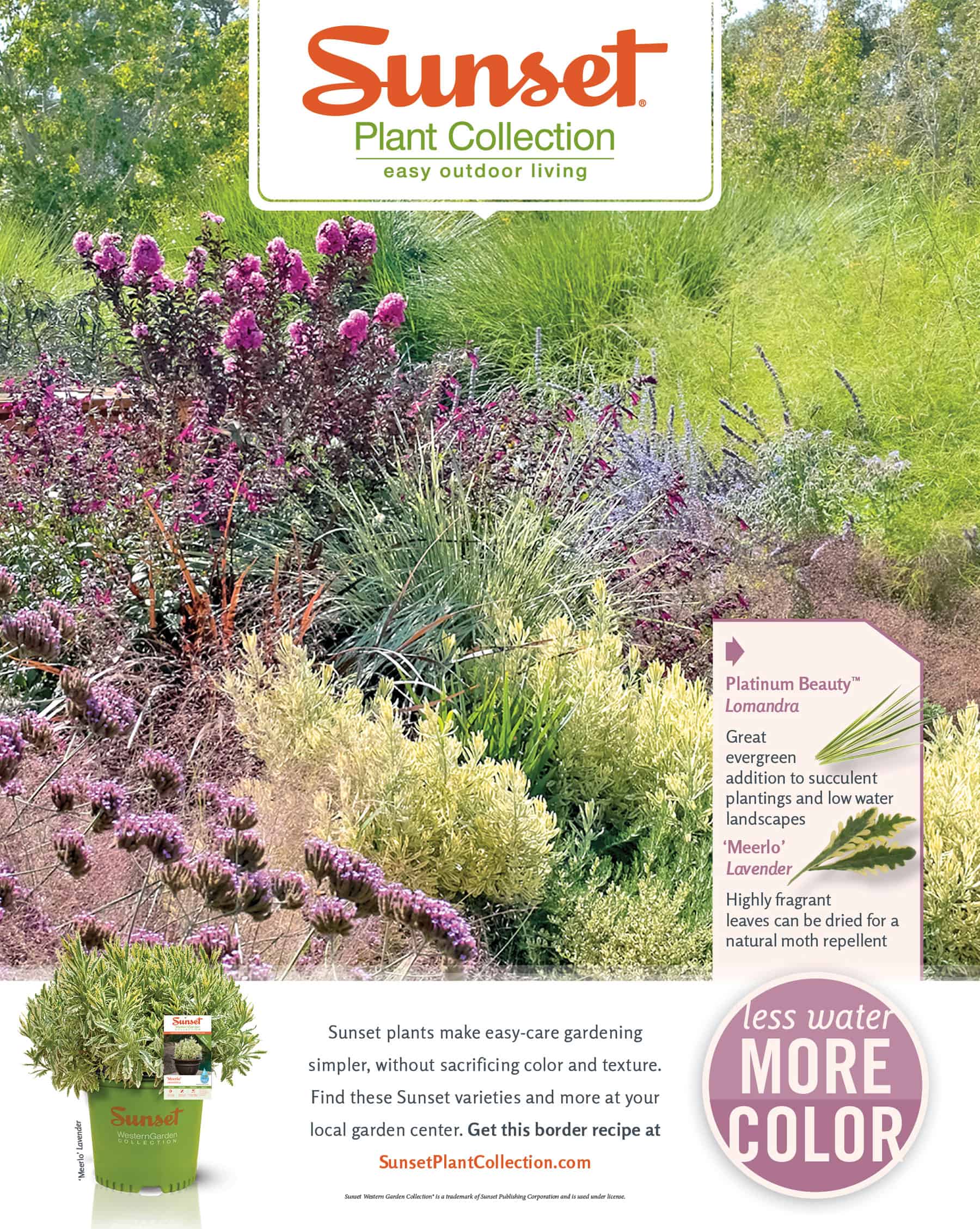 Sunset Plant Collection ad