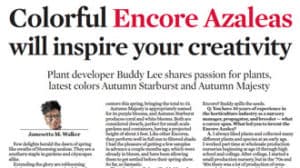 The Virginian-Pilot article on Encore Azaleas