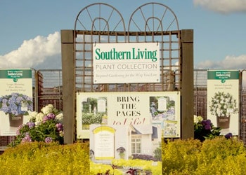 Order your Southern Living Trellis Stand and Banner