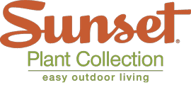 Sunset Plant Collection logo